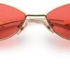 Carsbyvictor Sunglasses Cat Eye Fashion Designer Sunglasses  Small Petals Shape Arc Temple Design B2298